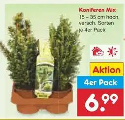 Netto Marken-Discount Koniferen-Mix Angebot