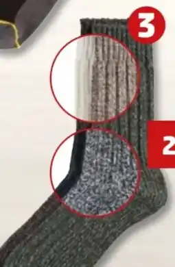 PENNY CAT Herren Norwegersocken 2 Paar Angebot