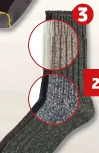 PENNY CAT Herren Norwegersocken 2 Paar Angebot