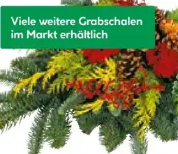 BayWa Nobilis Grabstrauss Angebot