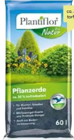 BayWa Plantiflor Pflanzerde Angebot