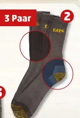 PENNY CAT Premium-Arbeitssocken 3 Paar Angebot