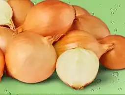PENNY Marktliebe Zwiebeln Angebot