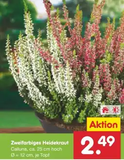 Netto Marken-Discount Zweifarbiges Heidekraut Angebot