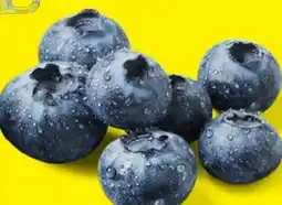 Lidl Bio-Heidelbeeren Angebot