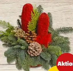 PENNY Grabschale Klein Angebot