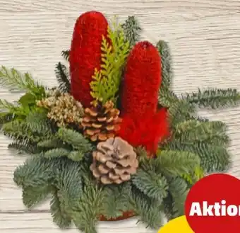 PENNY Grabschale Klein Angebot