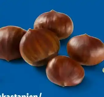 Lidl Esskastanien Angebot