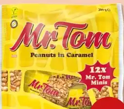 PENNY Hosta Mr.Tom Minis Angebot