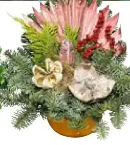 BayWa Deko Grabschale Angebot
