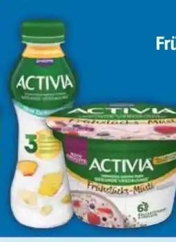 E-Center Danone Activia Frühstücksmüsli Angebot
