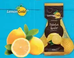 E-Center Zitronen LemonGold Angebot