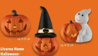 Lidl Livarno Home Halloween ­LED ­Dekoration Angebot