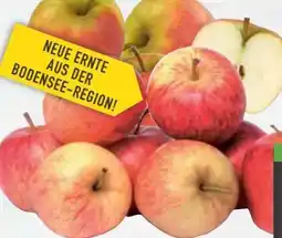 E-Center Tafeläpfel Braeburn Angebot