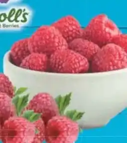 E-Center Driscoll's Himbeeren Angebot