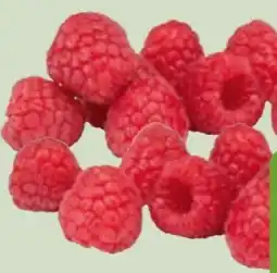 Edeka Xpress Driscoll's Himbeeren Angebot