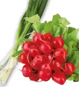 Edeka Radieschen Angebot