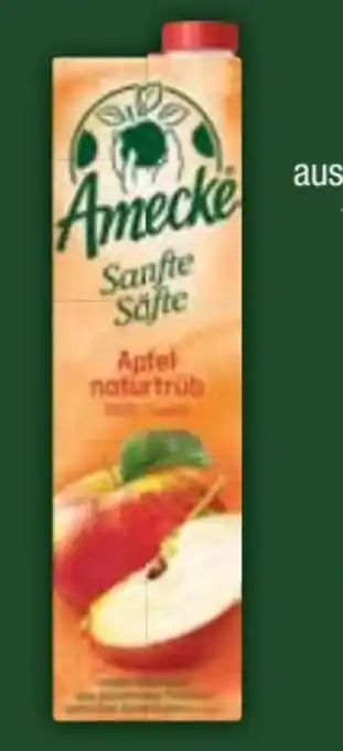 E-Center Amecke Fruchtsaft Angebot
