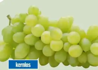 Edeka Xpress Gut & Günstig Tafeltrauben Angebot