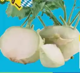 E-Center Kohlrabi Angebot