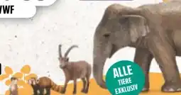 Edeka Xpress Schleich Tierischer Sammelspaß Angebot