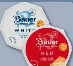 REWE Center Bauer Traditionskäserei Angebot