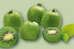 REWE Center Kiwibeeren Angebot