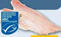 REWE Center Rotbarsch-Filet Angebot