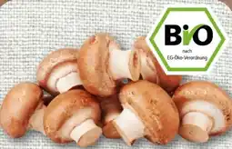 REWE Rewe Bio Champignons Angebot