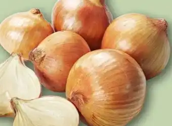 REWE Center Gemüsezwiebeln Angebot