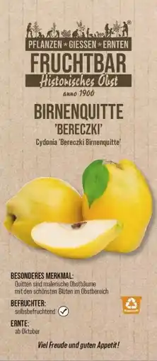 Globus Baumarkt Bio-Obstbäume Angebot
