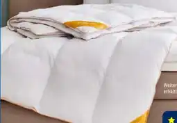 Lidl Balette DeLuxe Gänsedaunen-Kassettenbettdecke Gold-Edition Angebot