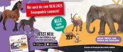 Edeka Schleich Spielfiguren Angebot
