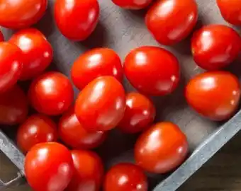 REWE Center Cherry-Romatomaten Angebot