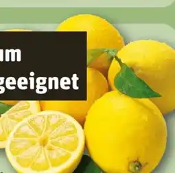 REWE Rewe Bio Zitronen Angebot