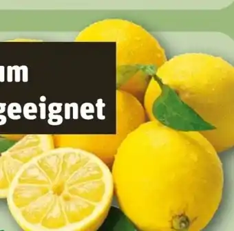REWE Rewe Bio Zitronen Angebot