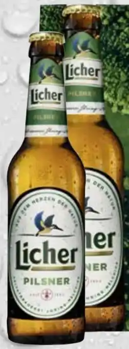 trinkgut Licher Pilsner Angebot