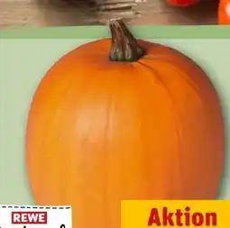REWE Rewe Regional Halloween Kürbis Angebot
