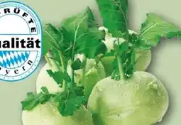 REWE Center Rewe Regional Kohlrabi Angebot