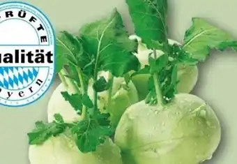 REWE Center Rewe Regional Kohlrabi Angebot