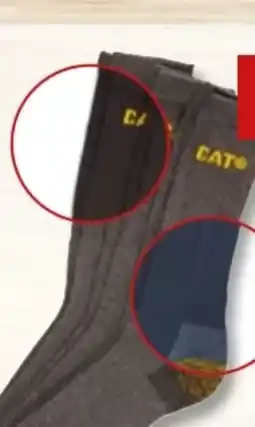 PENNY CAT Herren-Premiumarbeitssocken 3 Paar Angebot