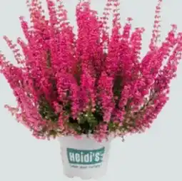 Globus Baumarkt Glockenheide Angebot