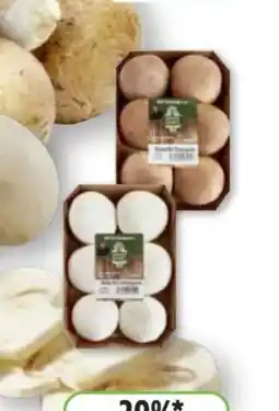 Edeka Unsere Heimat Echt & Gut Bio-Champignons Angebot