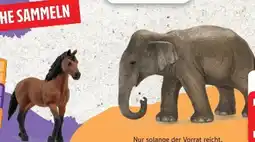 Edeka Schleich Tierfiguren Angebot