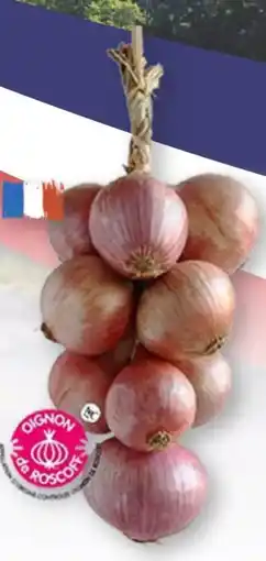 Scheck-in-Center Roscoff-Zwiebeln Angebot