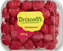 Scheck-in-Center Driscoll's Himbeeren Angebot