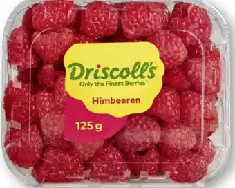 Scheck-in-Center Driscoll's Himbeeren Angebot