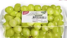 Scheck-in-Center Gut & Günstig Trauben Angebot