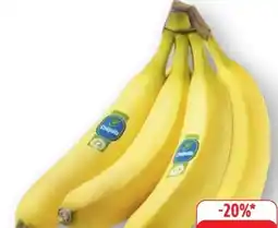 Edeka Chiquita Bananen Angebot