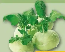 REWE Center Kohlrabi Angebot
